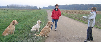 Sylvie DUCRET Comportementaliste canin en Alsace