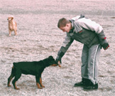 Sylvie Ducret Comportementaliste canin en Alsace